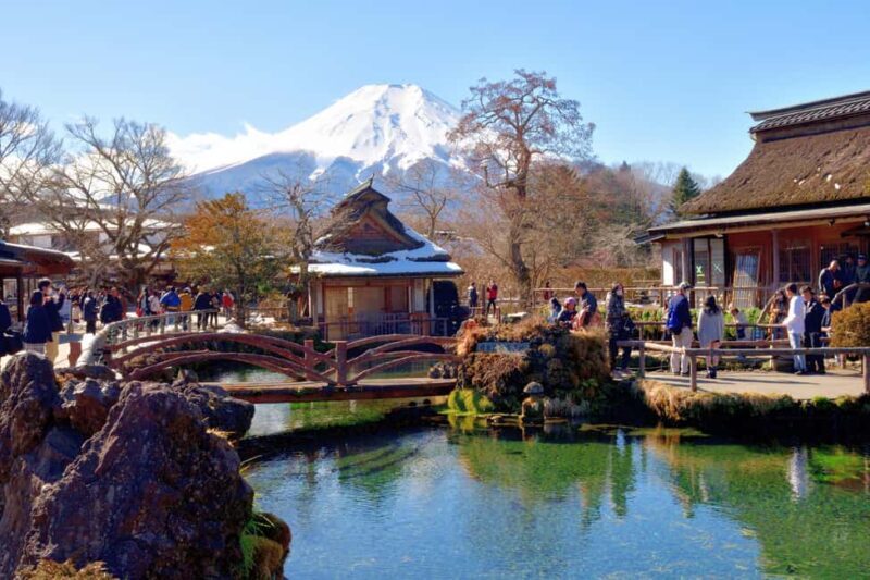 Tokyo: Mt. Fuji, Kamakura, Big Buddha, & Lake Ashi Day Trip - The Guide and Transportation