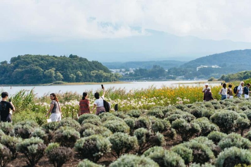 Tokyo: Mt. Fuji, Kamakura, Big Buddha, & Lake Ashi Day Trip - What to Bring and Practical Tips
