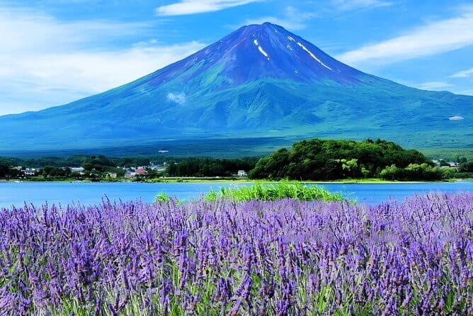 Tokyo Mt Fuji Kawaguchi and Yamanaka Onsen Tour with Pick up - Key Points