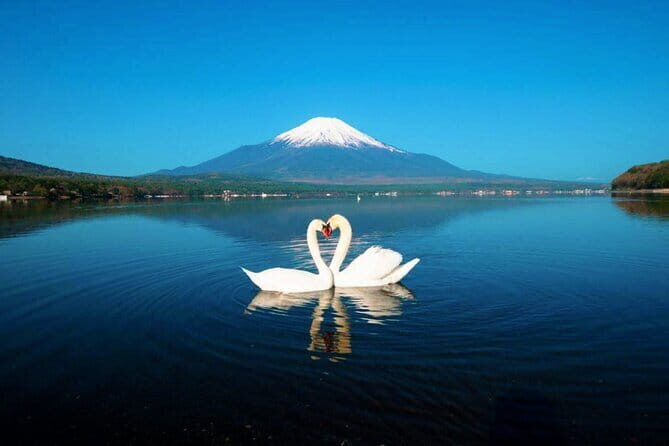 Tokyo Mt Fuji Kawaguchi and Yamanaka Onsen Tour with Pick up - The Practicalities: Transportation and Group Size