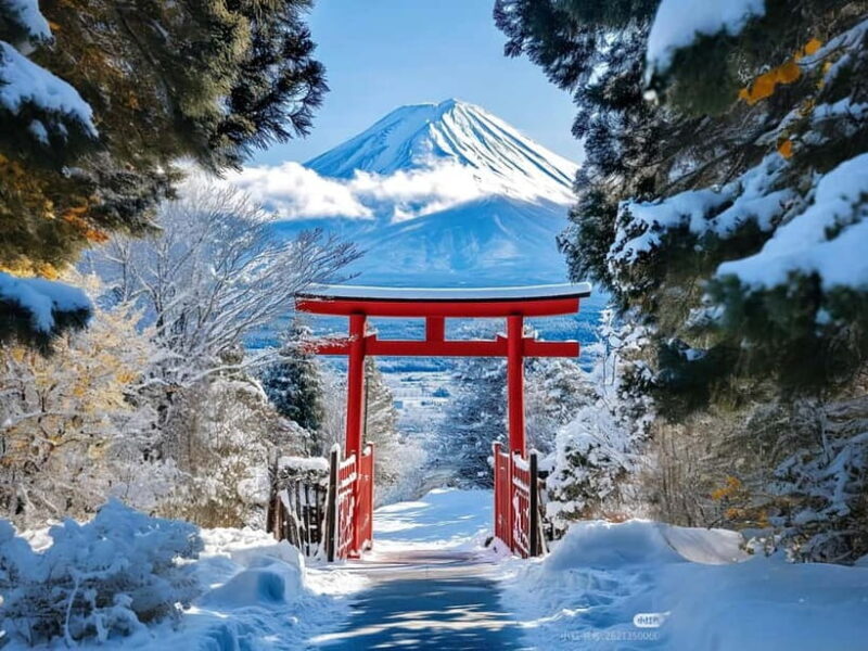 Tokyo: Mt. Fuji & Lake Kawaguchi Instagram Full Day Trip - Introduction