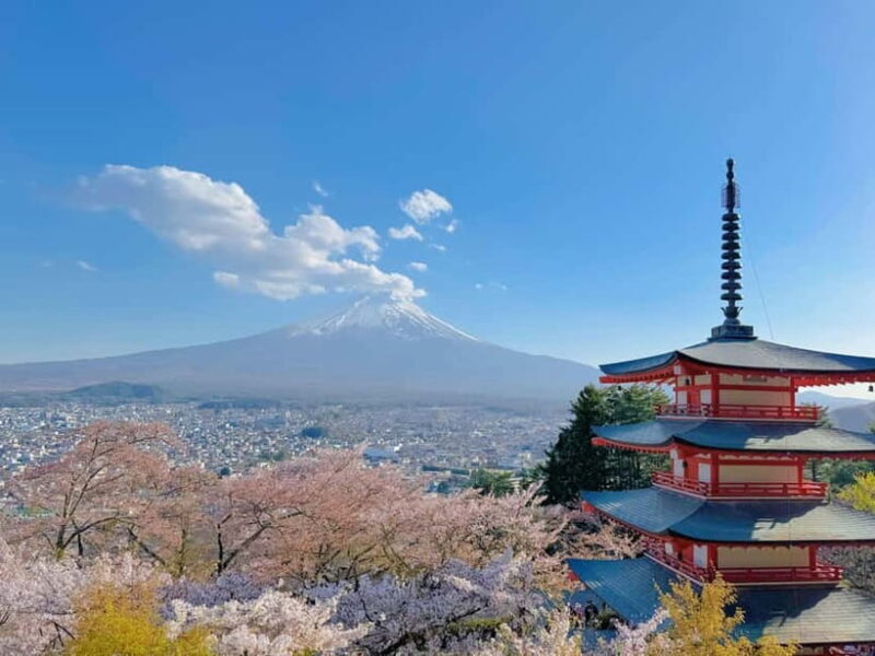 Tokyo: Mt. Fuji & Lake Kawaguchi Instagram Full Day Trip - Who Should Consider This Tour?