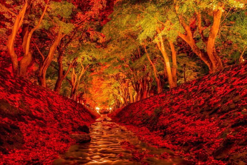 Tokyo: Mt Fuji Lake Kawaguchi & Yamanaka Hot Spring Day Tour - Final Thoughts