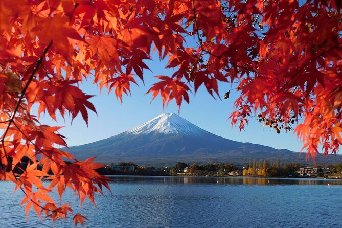 Tokyo: Mt.Fuji & Lake Kawaguchiko 1-Day Bus Tour w/Optional Lunch - The Itinerary Breakdown: What to Expect