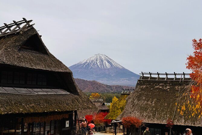 Tokyo: Mt.Fuji & Lake Kawaguchiko 1-Day Bus Tour w/Optional Lunch - Who Should Consider This Tour?