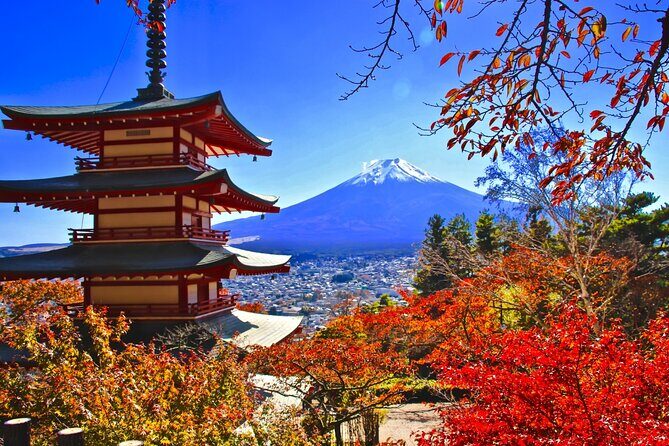 Tokyo Mt Fuji Lake Kawaguchiko Japanese Calligraphy 1 Day Tour - Key Points