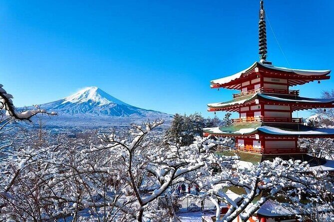 Tokyo Mt Fuji Lake Kawaguchiko Japanese Calligraphy 1 Day Tour - Who Will Love This Tour?