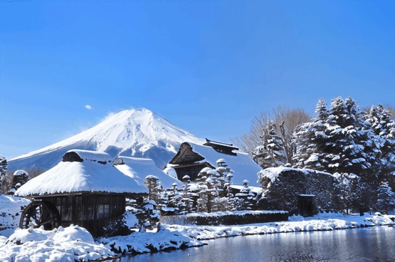 Tokyo: Mt Fuji Lake Kawaguchiko Tour & Arakuyama Sengen Park - What the Tour Offers for the Price