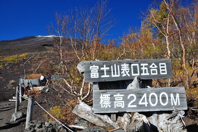 Tokyo: Mt. Fuji, Oshino Hakkai and Gotemba Outlets 1Day Bus Tour - Key Points