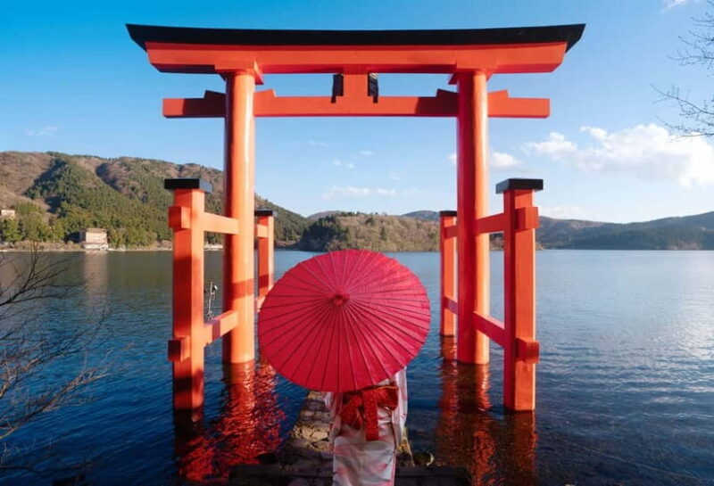 Tokyo: Mt. Fuji, Owakudani, Hakone Shrine, & Open-Air Museum - Who Is This Tour Best For?