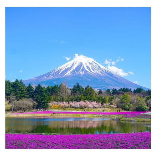 Tokyo: Mt Fuji Private Day Tour By English Driver Low Price - Key Points