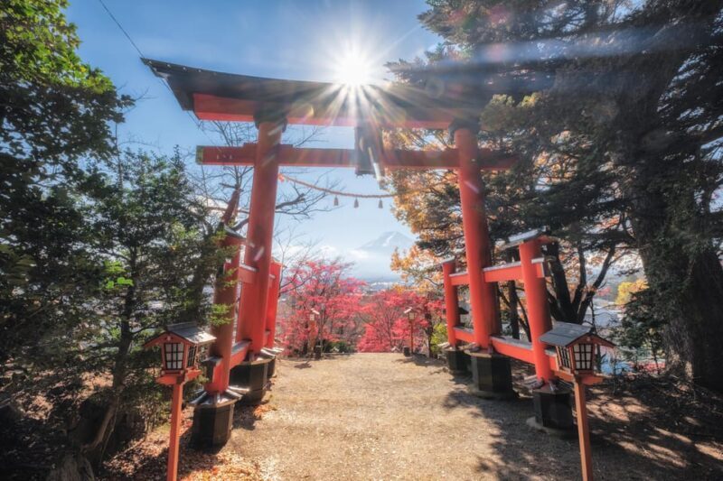 Tokyo: Mt.Fuji Private day Trip with English Speaking Driver - Authentic Experiences and What Travelers Love