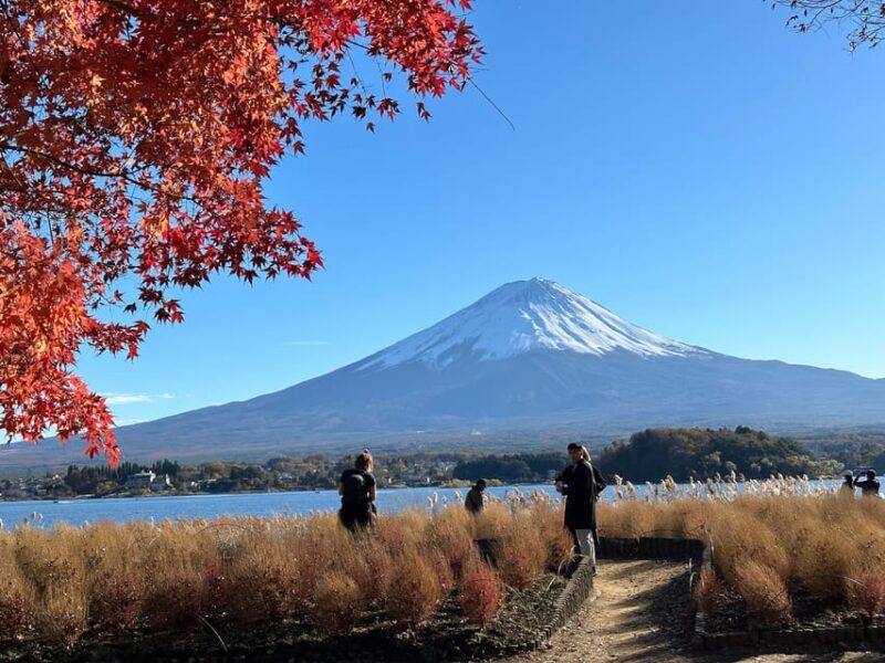 Tokyo: Mt.Fuji Private day Trip with English Speaking Driver - Final Thoughts