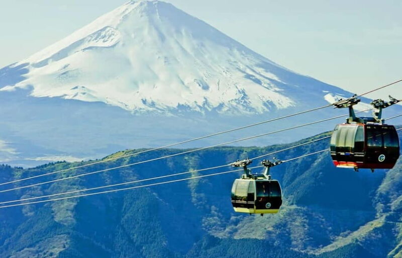 Tokyo: Mt. Fuji Tour, Hakone Ropeway, Owakudani, Lake Ashi - Who Will Enjoy This Tour?