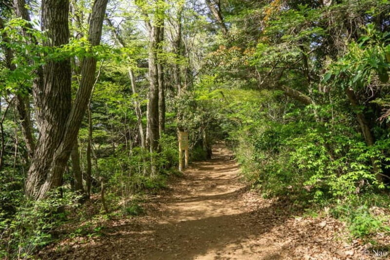 Tokyo: Mt. Takao Nature & Culture Hike with Private Guide - Practical Details and Value