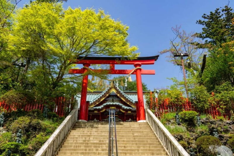 Tokyo: Mt. Takao Nature & Culture Hike with Private Guide - What Reviewers Say