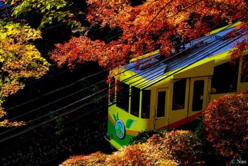 Tokyo: Mt. Takao Nature & Culture Hike with Private Guide - FAQ