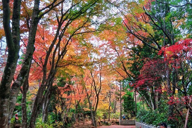 Tokyo: Mt. Takao Tour with Ramen and Tattoo-Okay Hot Spring - Who This Tour Is Best For
