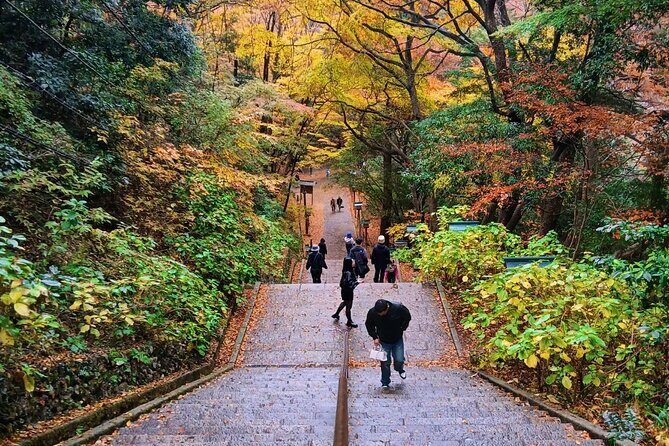 Tokyo: Mt. Takao Tour with Ramen and Tattoo-Okay Hot Spring - FAQ