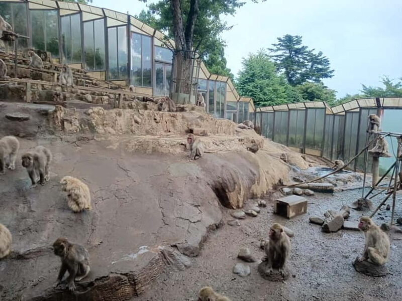 Tokyo: Mt Takao Tour with Ramen and Tattoo-Okay Hot Spring - Relaxing at a Tattoo-Friendly Hot Spring