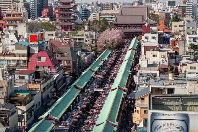 Tokyo Muslim Friendly Customizable Tour with Guide - Pricing and Value for Money