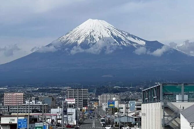 Tokyo Nagano Snow Monkey Park and Zenkoji Temple English driver - Is This Tour Worth It?