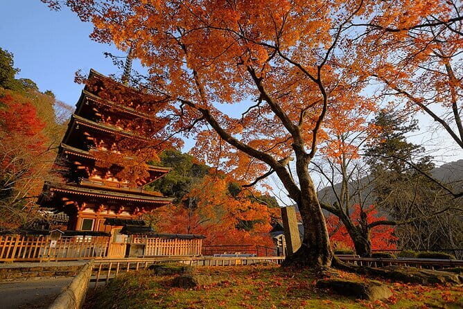 Tokyo Nagano Snow Monkey Park and Zenkoji Temple English driver - FAQ