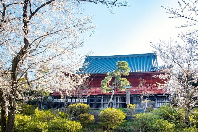 Tokyo National Museum and Ueno Ukiyo-e History Private Tour - Who Should Consider This Tour?