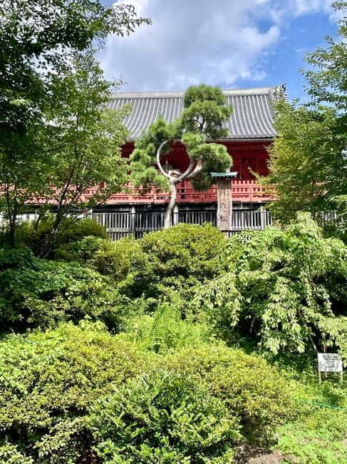 Tokyo: National Museum & Ukiyoe History Private Tour in Ueno - Final Thoughts