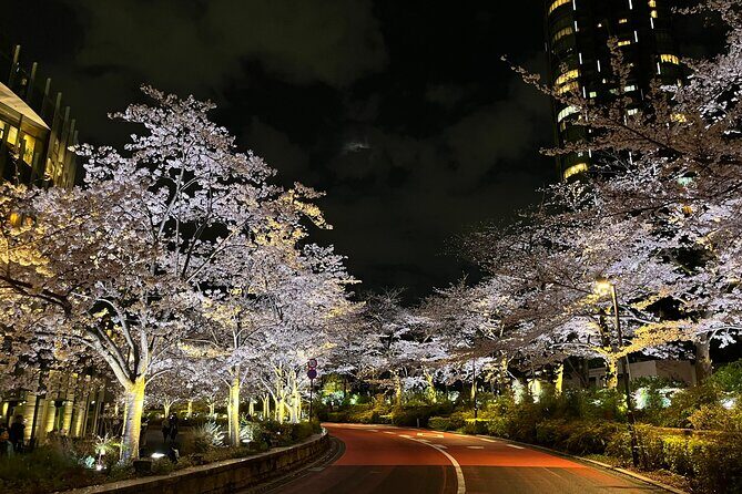 Tokyo Night Bike Tour: From Shibuya to Tokyo Tower via Roppongi - What’s Included and What to Consider