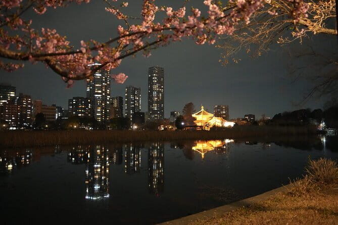 Tokyo Night Tour Akihabara, Shibuya, Karaoke and City Lights - Practical Details and What to Expect