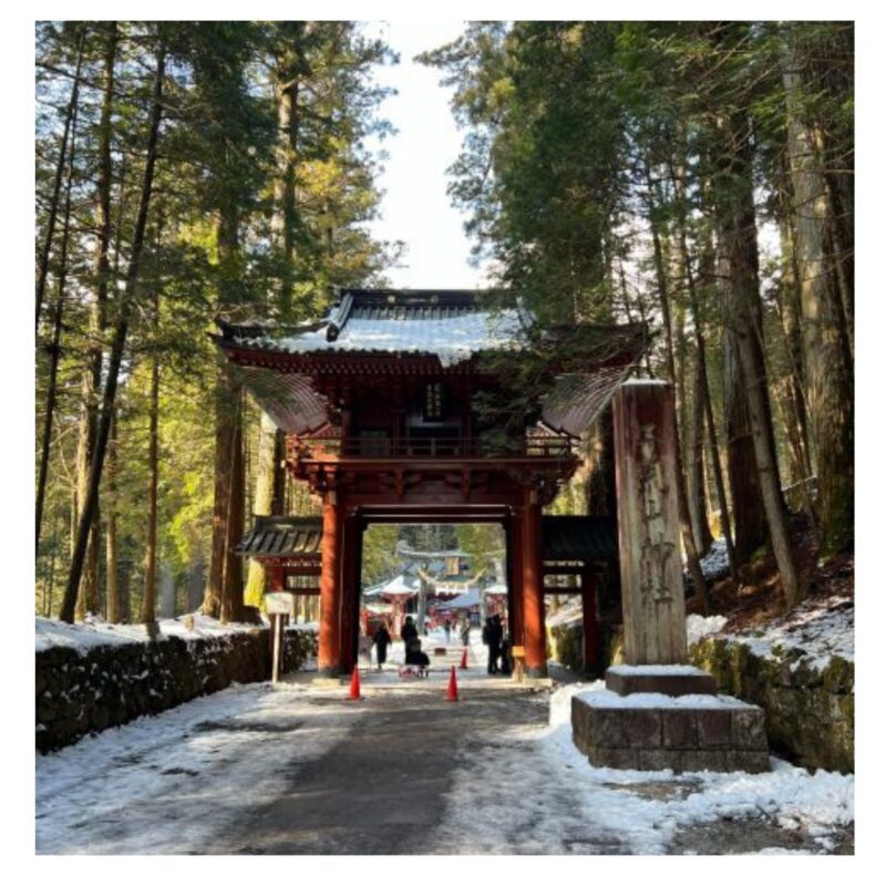 Tokyo: Nikko Day Tour Shrines, Lake Chzenji & Kegon Falls - Final Thoughts