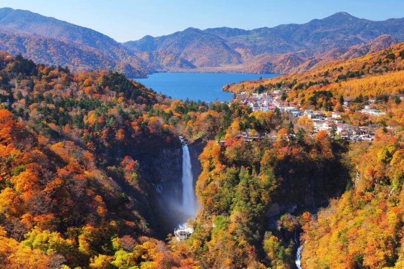 Tokyo: Nikko Day Tour with English Driver and Flexible - The Value of the Experience