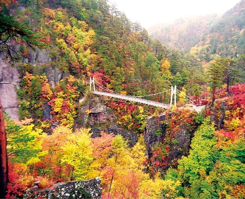 Tokyo: Nikko Day Tour with English Driver and Flexible - Who Is This Tour Best For?