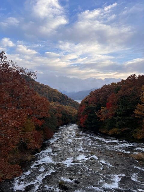 Tokyo: Nikko Day Tour with Private Vehicle and Guide - Key Points