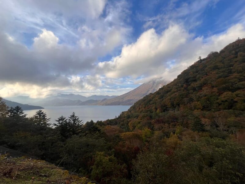 Tokyo: Nikko Day Tour with Private Vehicle and Guide - Why Choose This Tour?