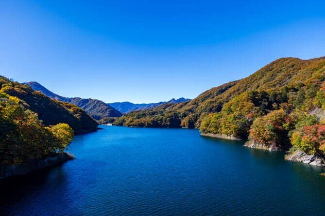 Tokyo Nikko Guided Private Tour With AC Car and Local Guide - An In-Depth Look at the Tour Itinerary