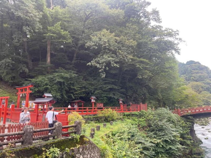 Tokyo: Nikko Private Customize Tour English Driver & Guide - Key Points