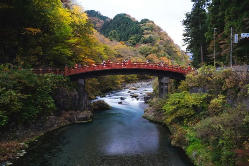 Tokyo: Nikko Private Sightseeing Day Trip with Driver - A Detailed Look at What to Expect