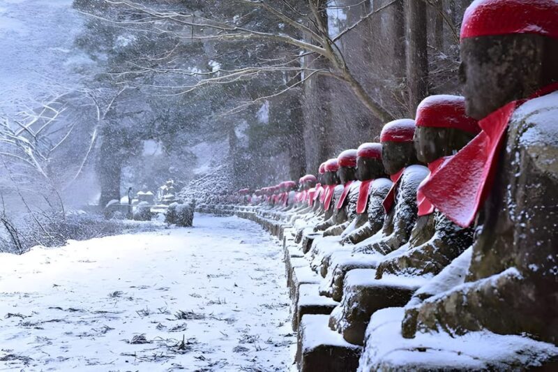Tokyo: Nikko Private Sightseeing Day Trip with Driver - Who Should Consider This Tour?