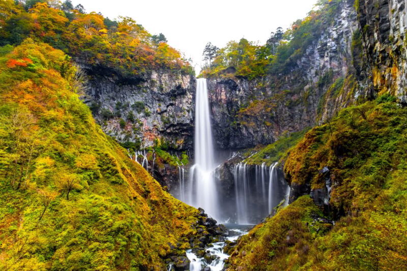 Tokyo: Nikko Toshogu Shrine and Kegon Waterfall Tour - A Deep Dive into the Nikko Toshogu and Kegon Waterfall Experience