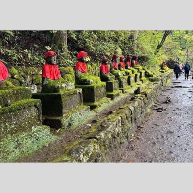 Tokyo: Nikko World Heritage Private Day Trip Hotel Pick-up - An In-Depth Look at the Tour Experience