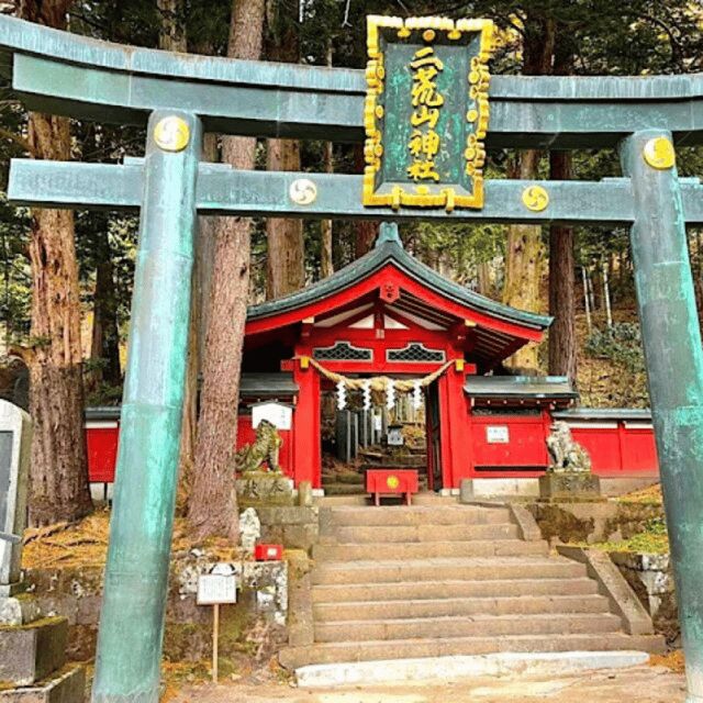 Tokyo Nikko:Private Customizable Day Trip (English Driver) - Key Points