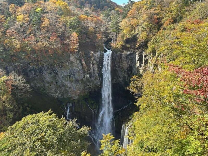 Tokyo Nikko:Private Customizable Day Trip (English Driver) - Discovering Nikko: An Insider’s Look
