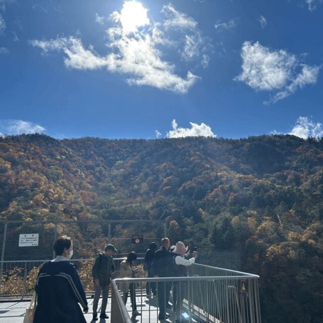 Tokyo Nikko:Private Customizable Day Trip (English Driver) - FAQ
