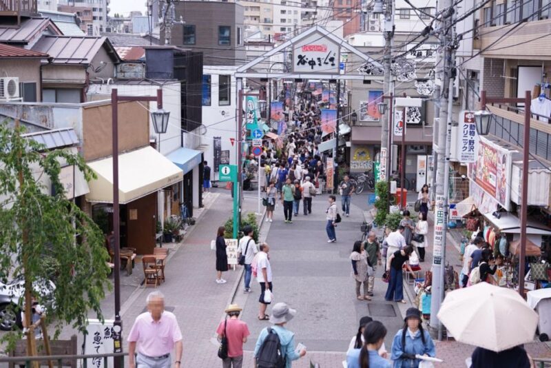 Tokyo: Off the Beaten Path Private Guided Tour - Exploring Tokyo Off the Beaten Path: A Guide to This Private Tour