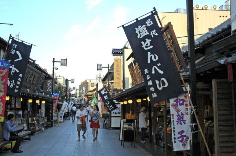 Tokyo: Off the Beaten Path Private Guided Tour - Practical Details and Considerations