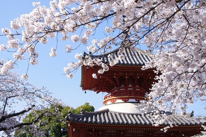 TOKYO OishiPark, Oshino & KoedoKawagoe, Fuji Mount - Transportation and Guide