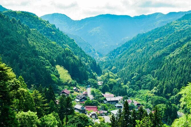 Tokyo Okutama Day trip Tour - An In-Depth Look at the Tour Experience