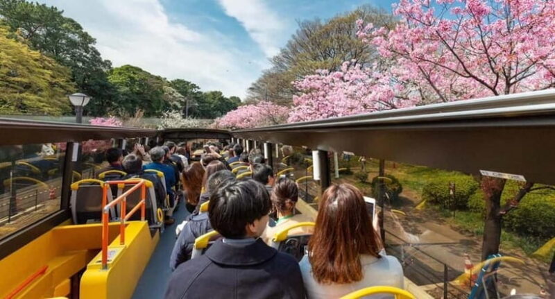 Tokyo: Open Top Sightseeing Bus with Audio Guide - Practical Tips for a Smooth Ride
